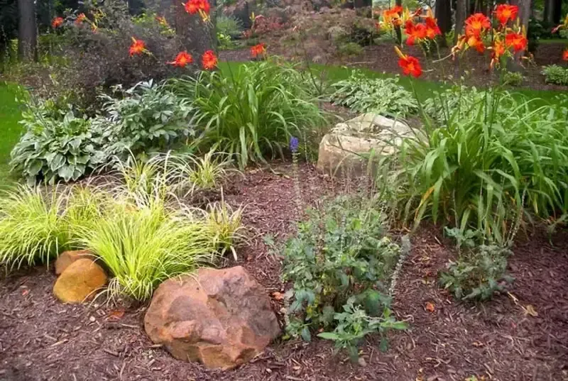 red flowers