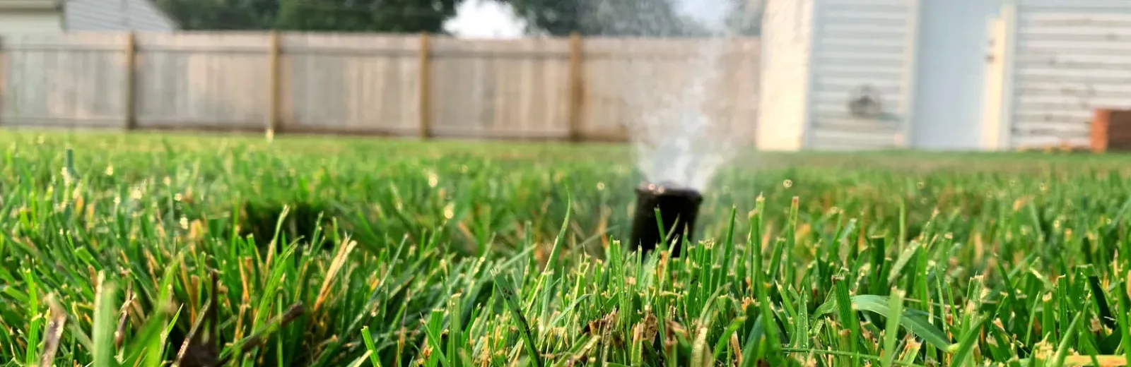 sprinkler
