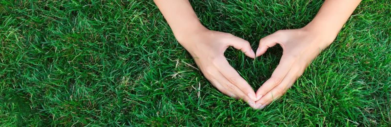hands in the shape of the heart on green grass