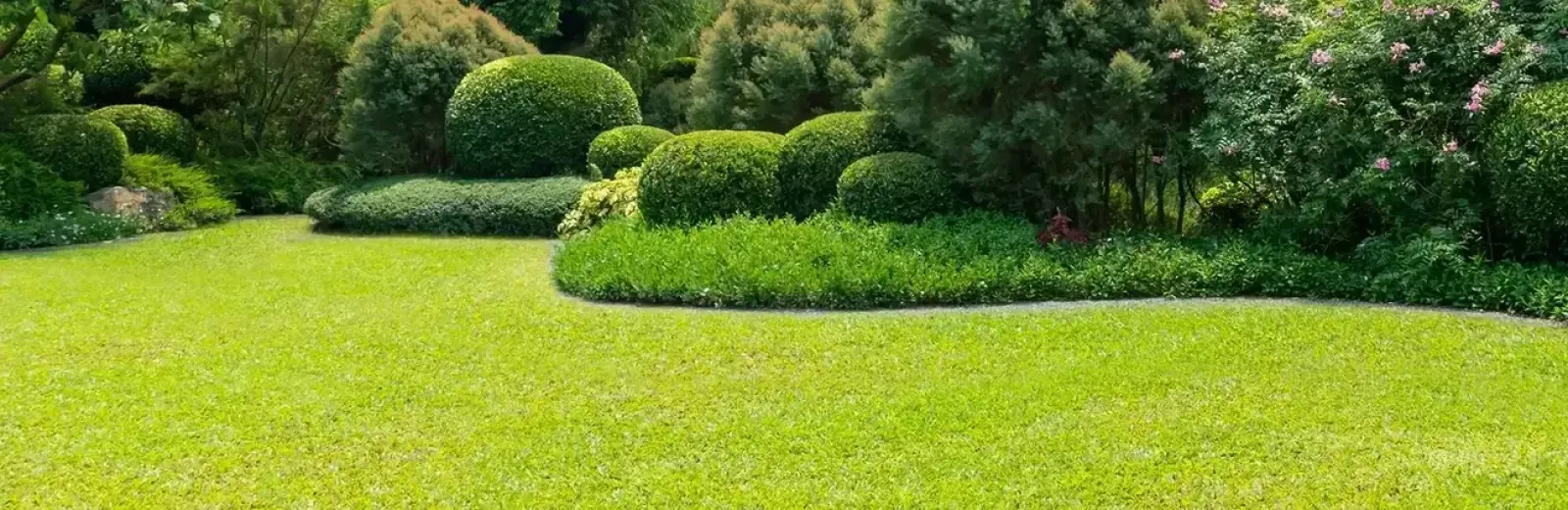 landscaped lawn