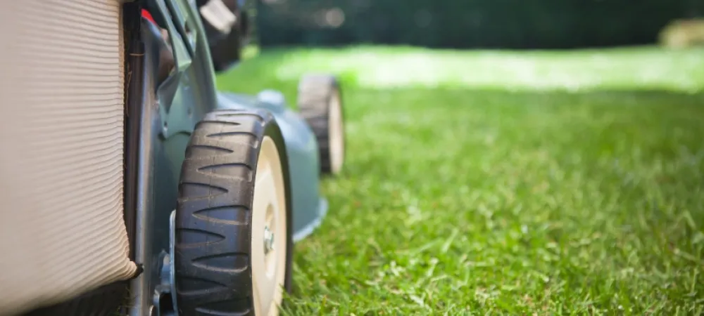lawn mower on lawn zoomed in