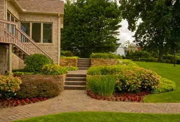 beautiful lawn with shrubs