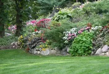 flowers and beautiful lawn