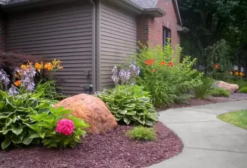 shrubs and plants