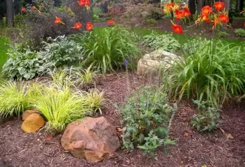 red flowers