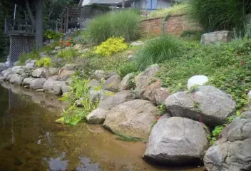 rocks and greenery near water