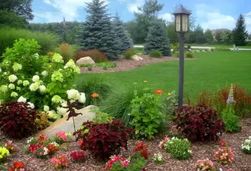 beautiful trees and shrubs