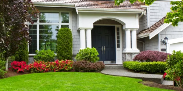 house healthy lawn