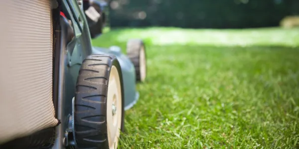 lawn mower on lawn zoomed in