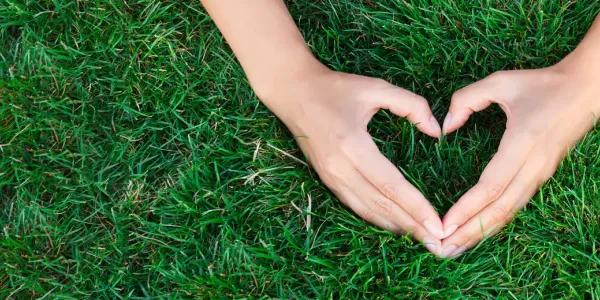 heart with hands on lawn