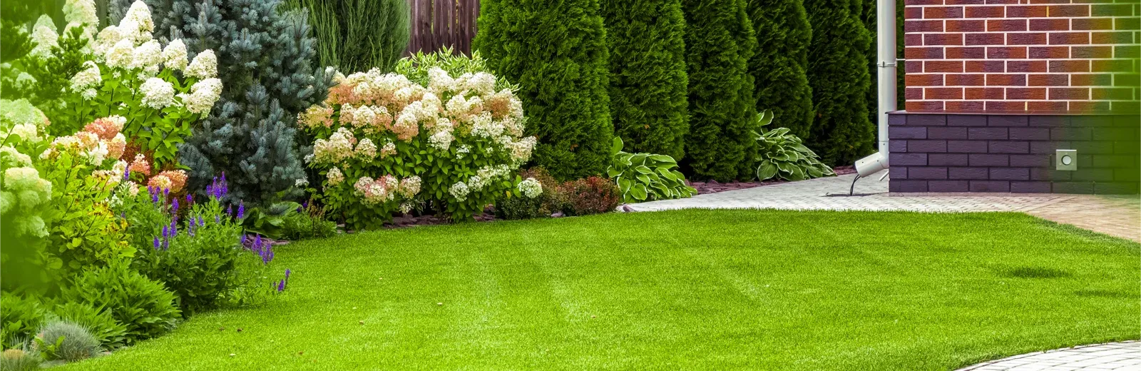 green lawn and shrubs around house