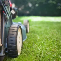 lawn mower on lawn zoomed in