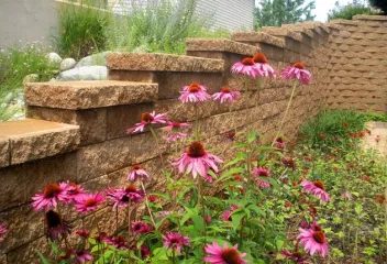 pink flowers along brick wall