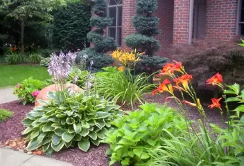 pretty shrubs and flowers