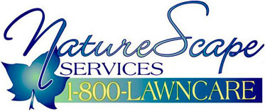 NatureScape Services